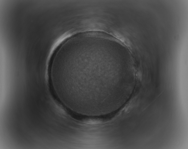 X0000088200248200705221728