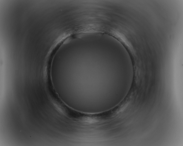 X0000088200250200705221728