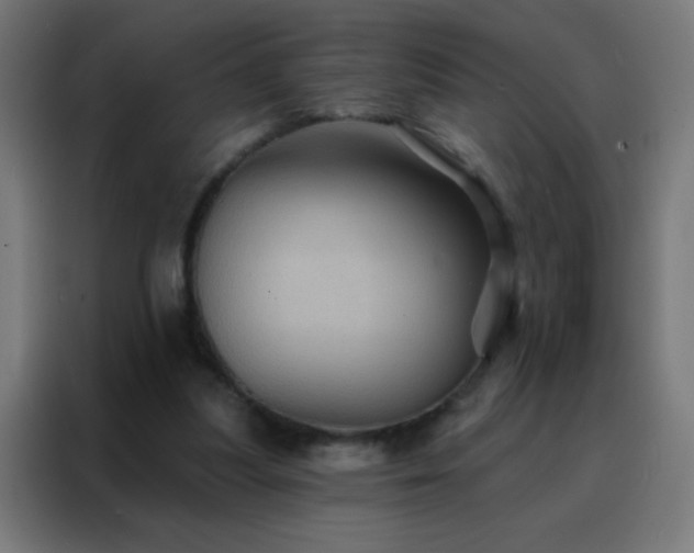 X0000088200251200705221728
