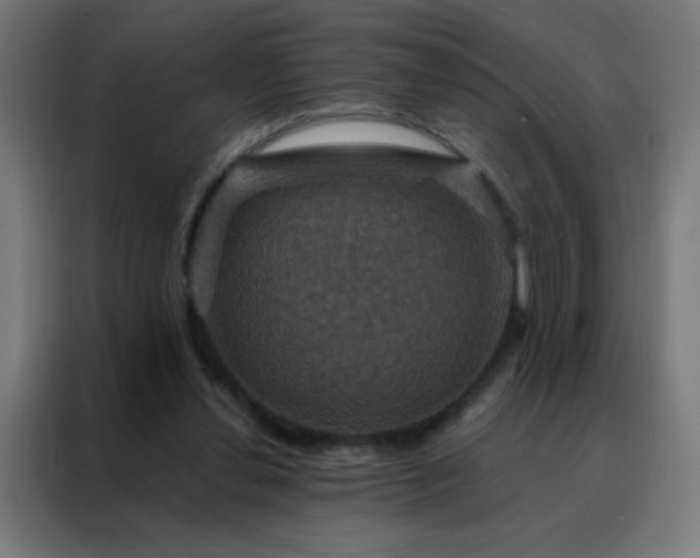 X0000088200252200705221728