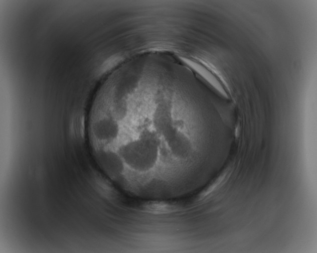 X0000088200253200705221728