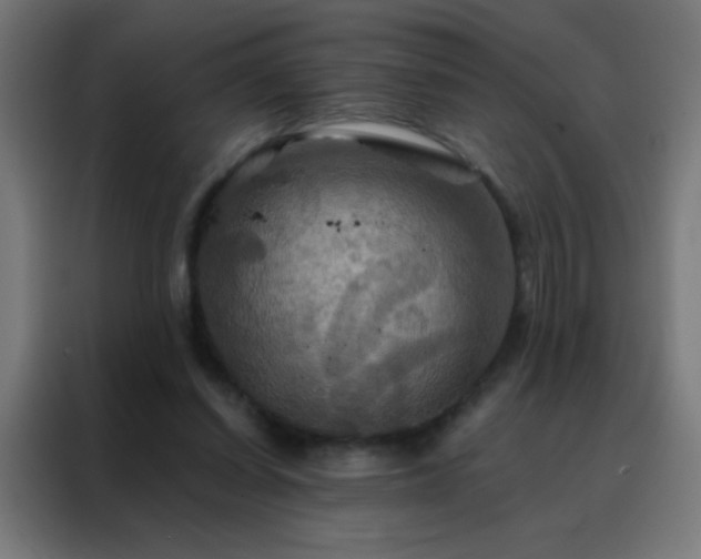 X0000088200254200705221728