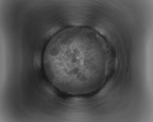 X0000088200255200705221728