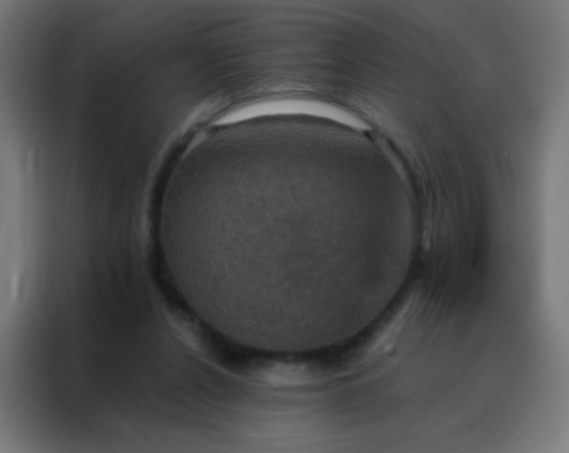 X0000088200256200705221728