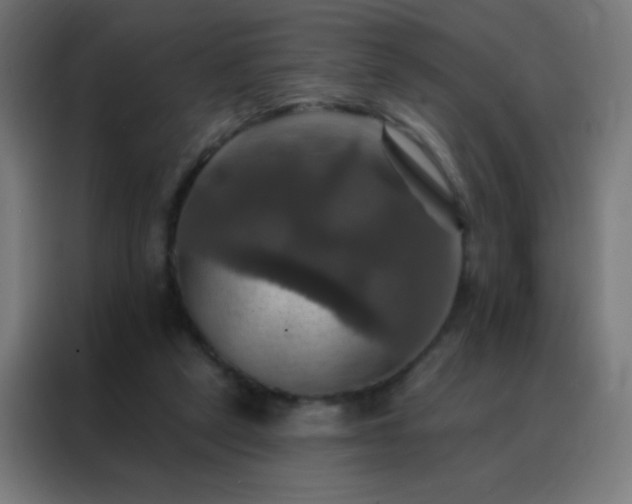 X0000088200257200705221728