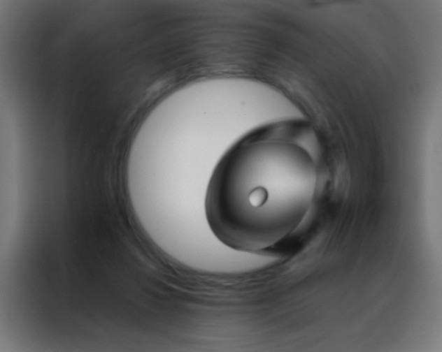 X0000088200260200705221729