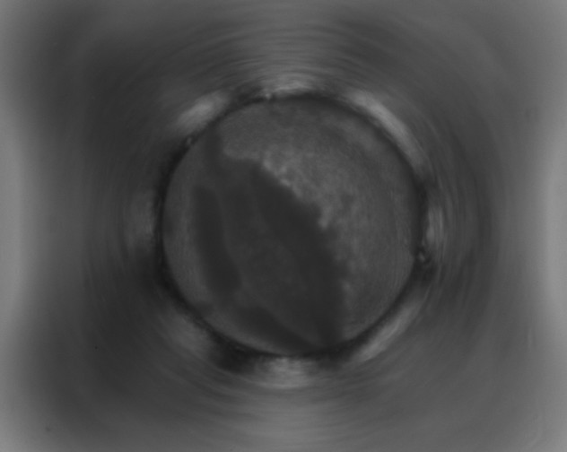 X0000088200261200705221729