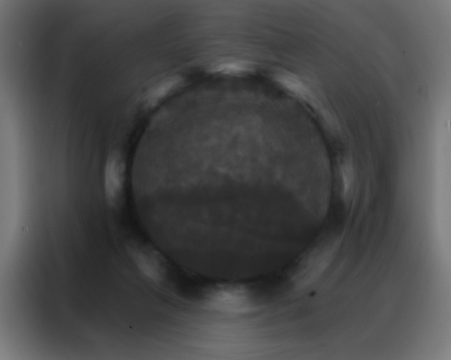X0000088200263200705221729