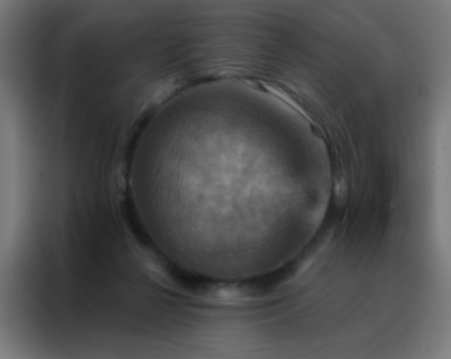 X0000088200264200705221729