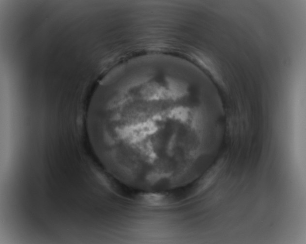 X0000088200265200705221729