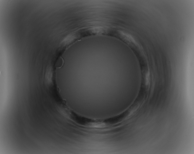 X0000088200266200705221729