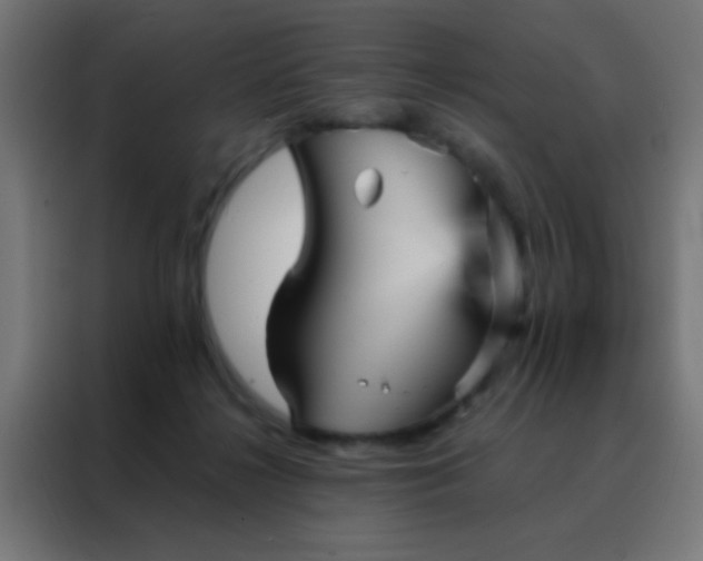 X0000088200268200705221729