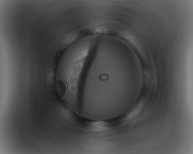 X0000088200269200705221729