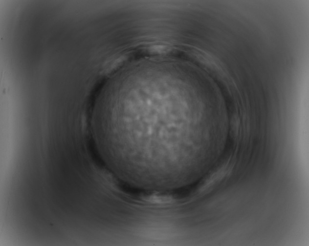X0000088200270200705221729