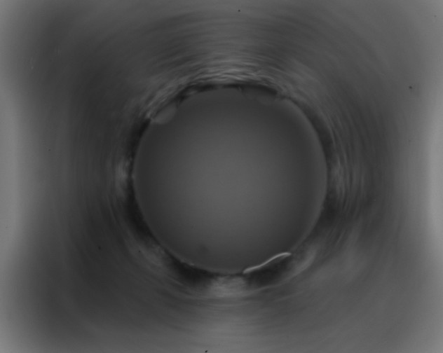 X0000088200271200705221729