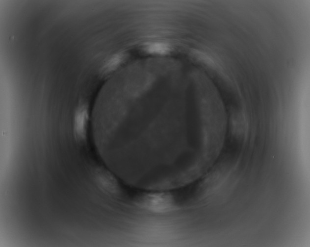 X0000088200275200705221729