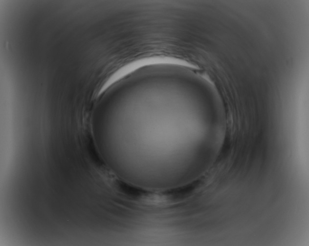 X0000088200276200705221729
