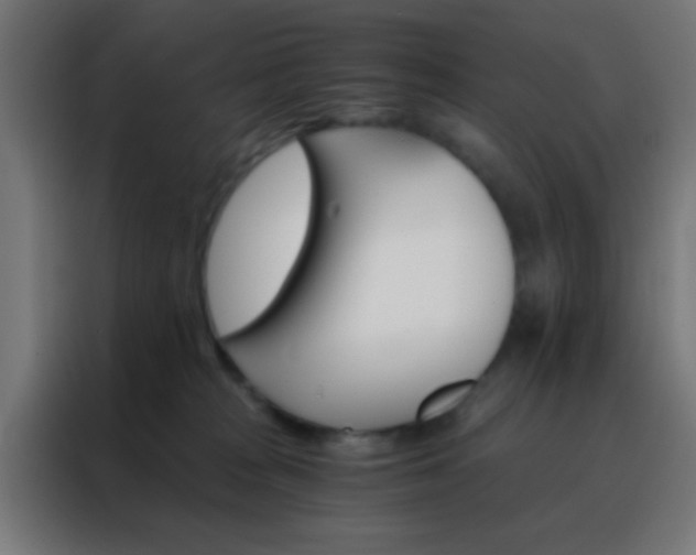 X0000088200277200705221729