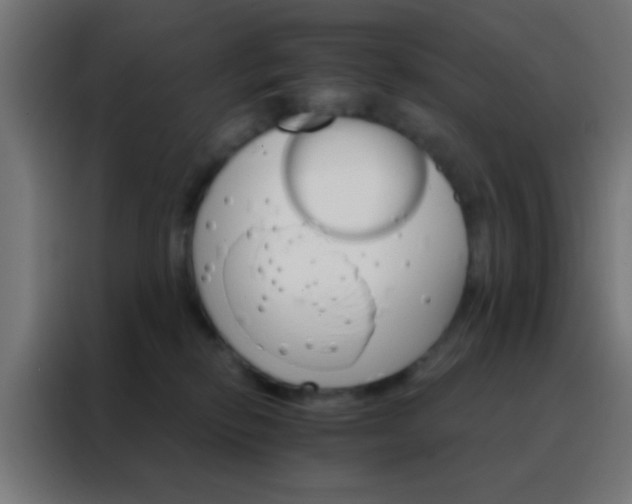 X0000088200278200705221729