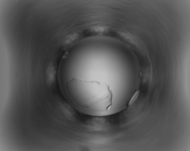 X0000088200279200705221729