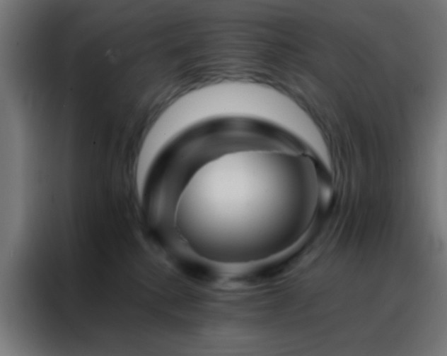 X0000088200280200705221729