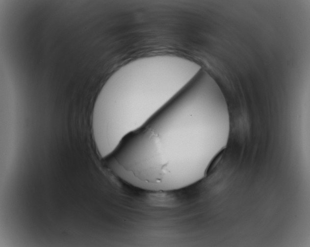 X0000088200281200705221729