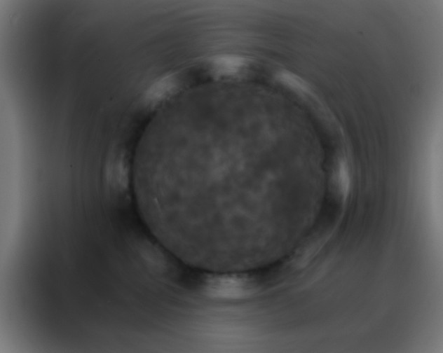 X0000088200282200705221729
