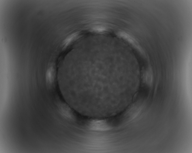 X0000088200283200705221729