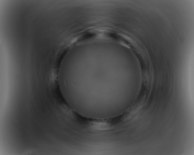 X0000088200284200705221729