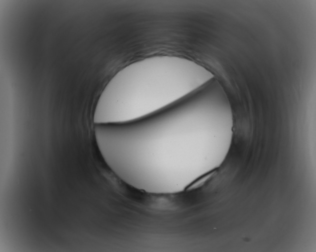 X0000088200285200705221729