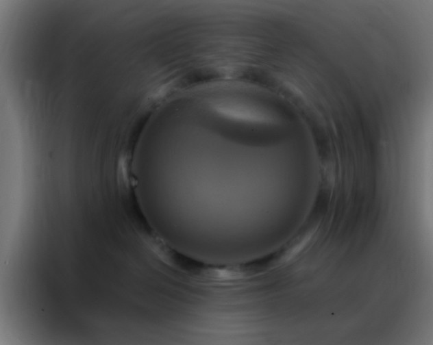 X0000088200286200705221729