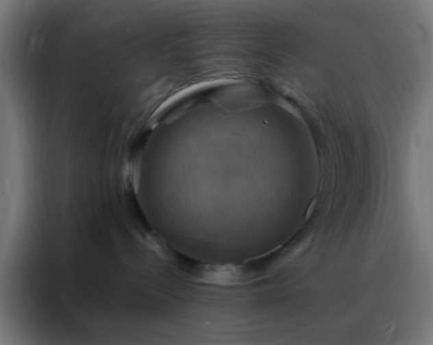 X0000088200288200705221729
