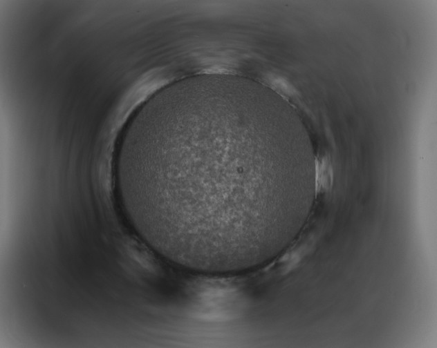 X0000088200291200705221728