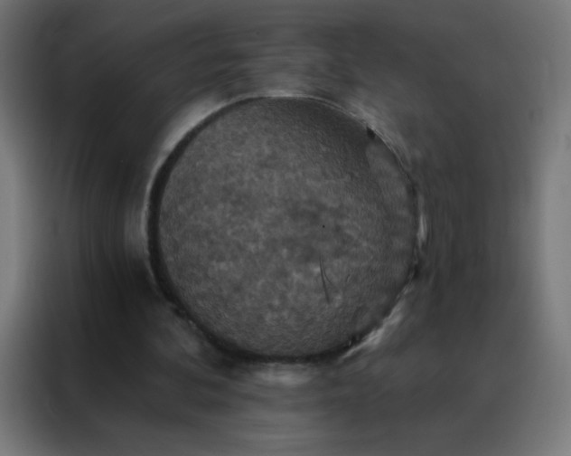 X0000088200292200705221728