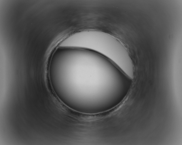 X0000088200293200705221728