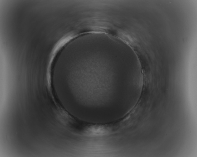 X0000088200294200705221728