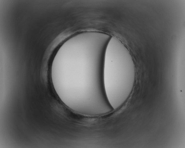 X0000088200295200705221728