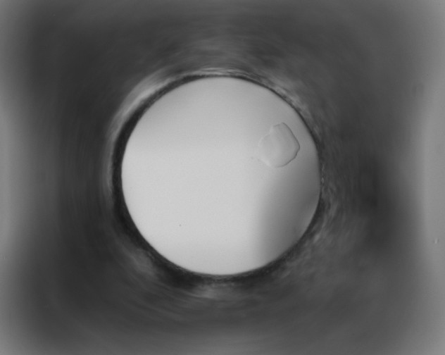 X0000088200296200705221728