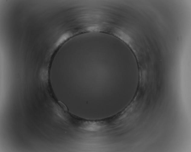X0000088200297200705221728