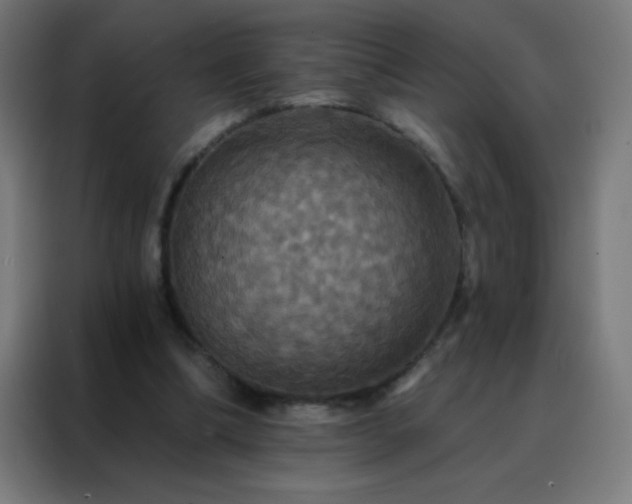 X0000088200298200705221728