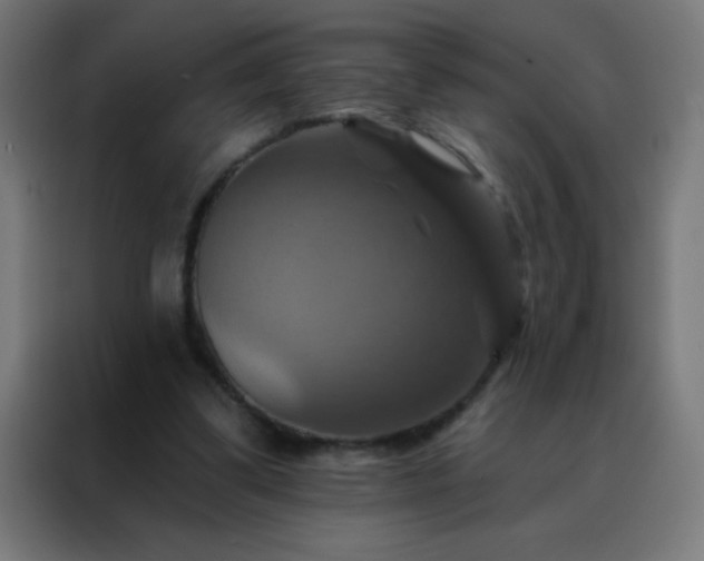 X0000088200299200705221728
