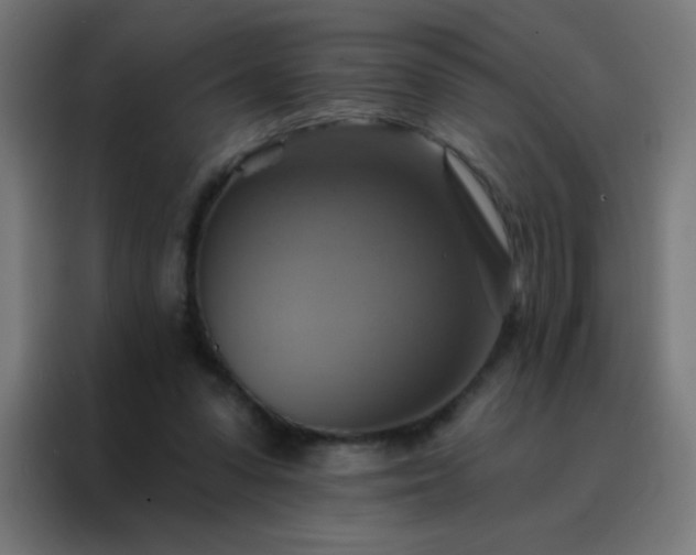 X0000088200303200705221728