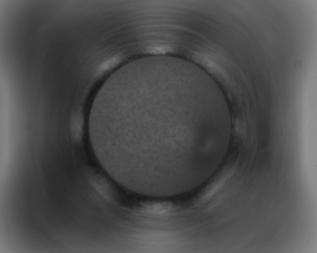 X0000088200304200705221728