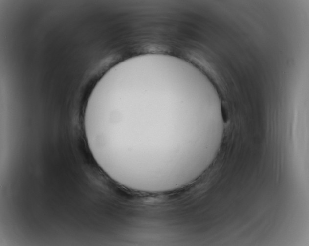 X0000088200306200705221728