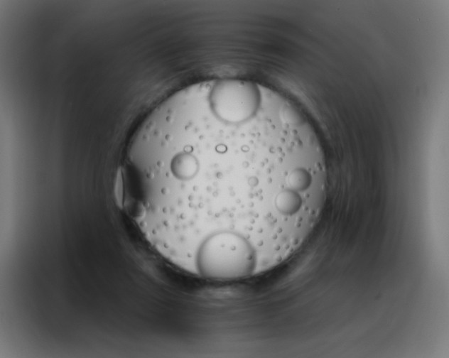 X0000088200307200705221728