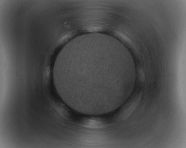 X0000088200308200705221728