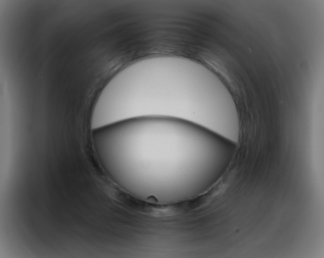 X0000088200309200705221728