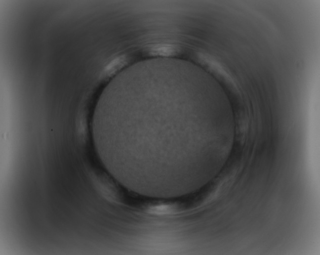 X0000088200312200705221728