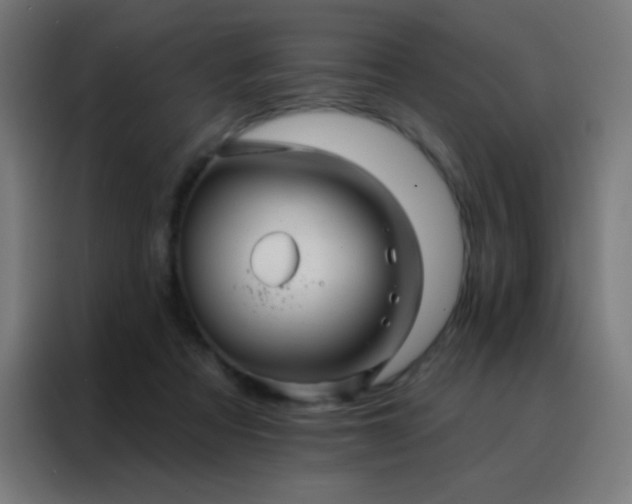 X0000088200313200705221728