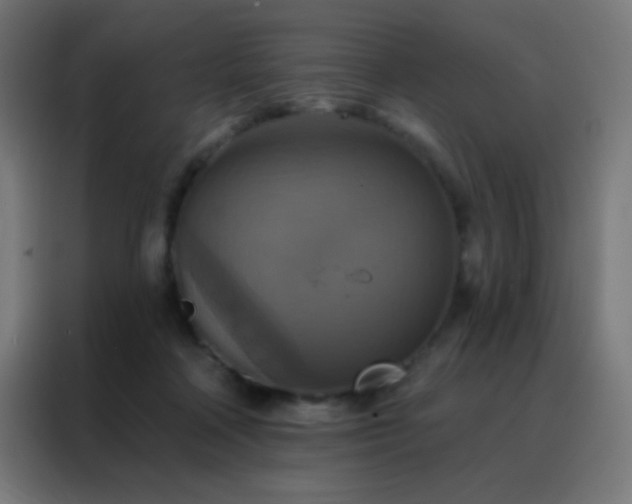 X0000088200314200705221728